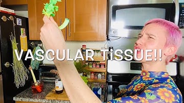 Incredible Color Changing Celery!