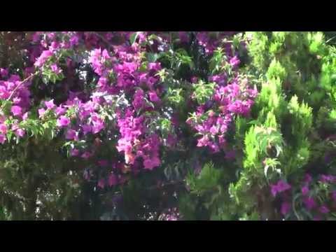 Nature Park, Villa del Sole in Italy 06 (Parco Agrigento)