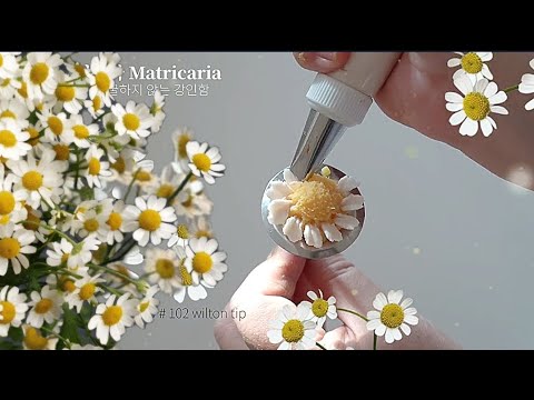 힐링영상 마트리카리아 앙금플라워 꽃짜기 Matricaria flower piping techniques
