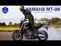 Yamaha MT09 2021 – The review from KNOX