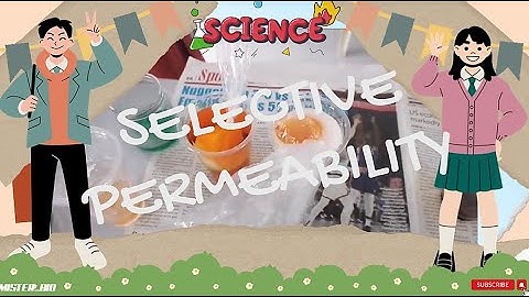 Selective Permeability | Understanding How Cells Control What Goes In and Out 🧬🚪