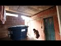 Continuando روتيني اليومي نار روتيني اليومي جديد جديد روتيني اليومي روتيني اليومي ترمة كبيرة Continuando روتيني اليومي نار روتيني اليومي جديد جديد روتيني اليومي روتيني اليومي ترمة كبيرة