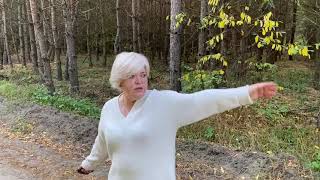 видео: Обязательно сделаю как Вы пишите. Два дня будет аншлаг,пусть люди порадуются! Сегодня в 17-00 СТРИМ! картинка: Обязательно сделаю как Вы пишите. Два дня будет аншлаг,пусть люди порадуются! Сегодня в 17-00 СТРИМ!