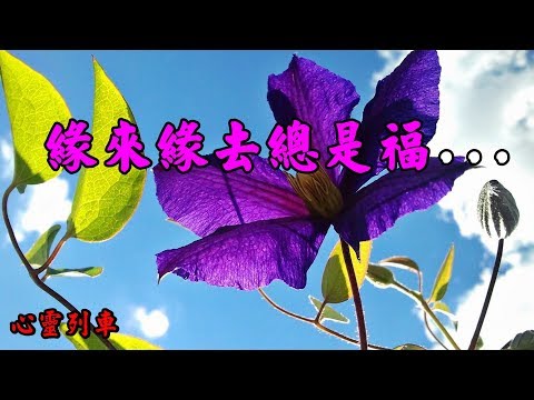 【心靈列車 】 緣來緣去總是福：人生這一程山水，所有的經歷都是對心地的歷練，如何化解痛苦，如何積澱厚重；這人生不是活給誰看，那些過往的是非糾纏，早已化作內心的淡然…