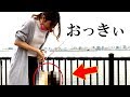 若洲で楽しく釣りしてたら巨大なのが釣れた【130cm】