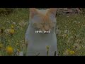 Sarah Lyrics mp3