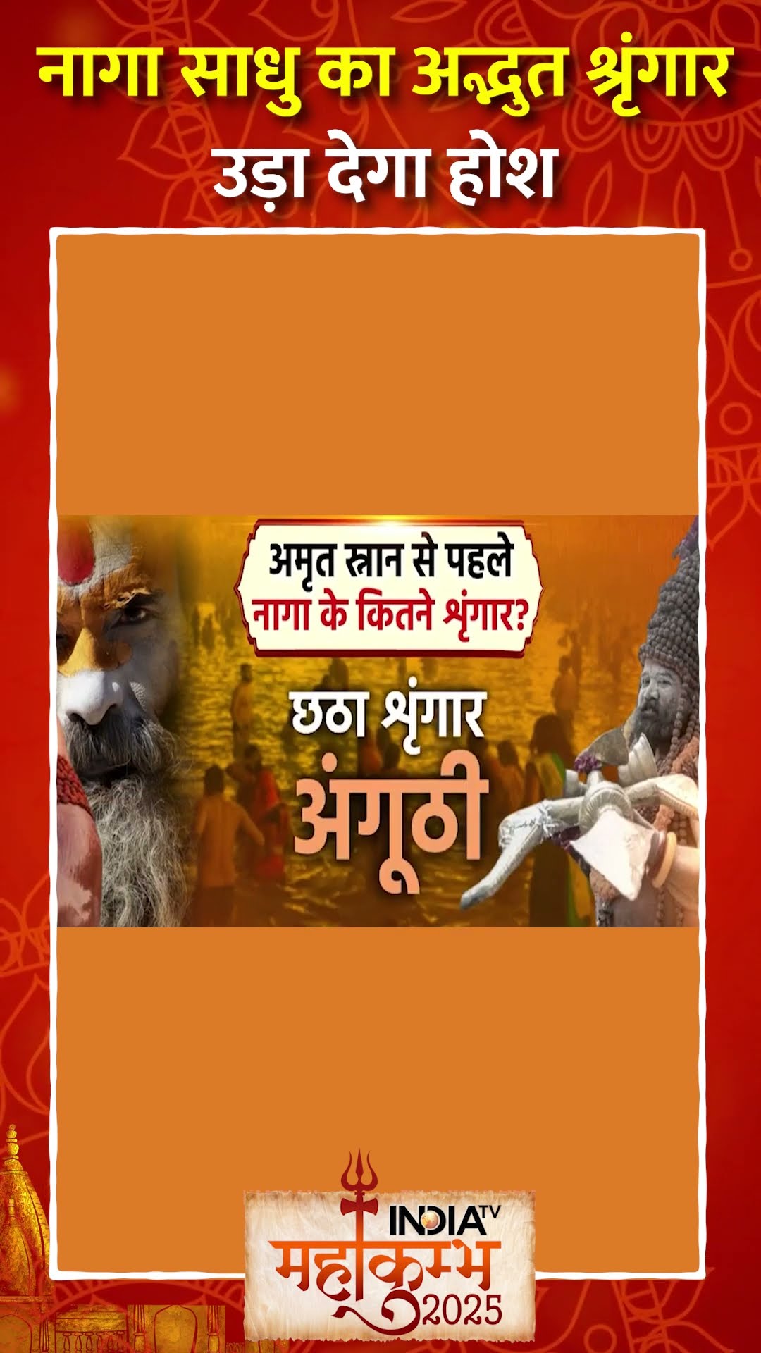 कैसे होता है नागा साधु का श्रृंगार #mahakumbh2025 #mahakumbh #indiatv