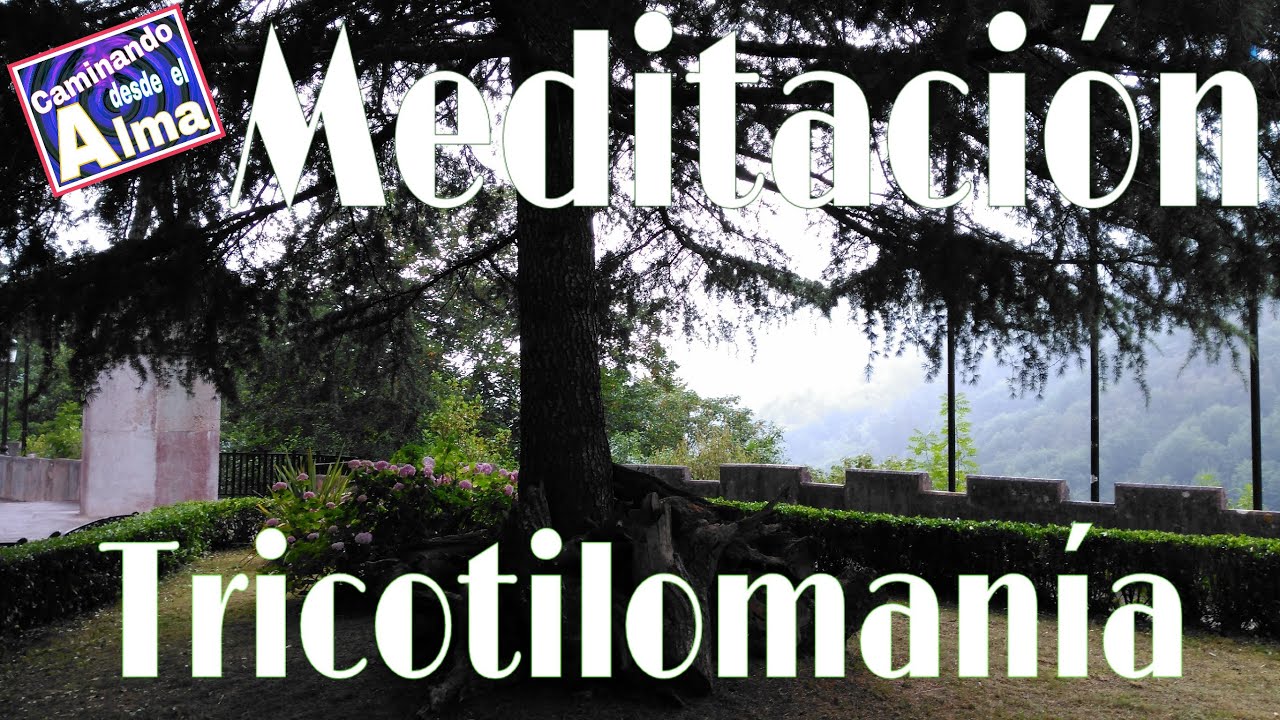 MEDITACIÓN. Tricotilomanía.