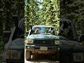 #junglesafari #monkeshbhai #dogeshbhai #automobile #offroading #caroffroad #jeep