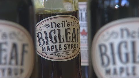 The rarest maple syrup in America might be made right here in Washington