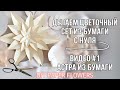 ЦВЕТЫ ИЗ БУМАГИ СВОИМИ РУКАМИ.Шаблоны цветов.Декор стен в квартире\PAPER FLOWERS HOW TO MAKE