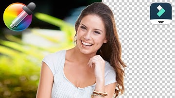 Filmora 14 Tutorial for Beginners – Chapter 3: Remove Any Background with Green Screen & AI Cutout!