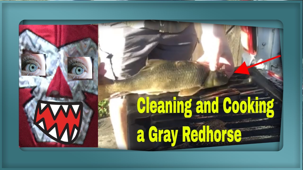 Cleaning and cooking a Suckerfish (Gray Redhorse fish) 🎣 - YouTube