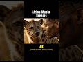 POV: You looked into the Soul of Africa 👁️🐘 #shorts #meditation #432hz