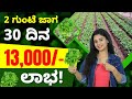 Earn 13000 within 30 days  most profitable coriander farming    30  