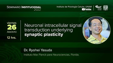 Neuronal intracellular signal transduction underlying synaptic plasticity