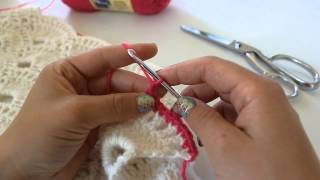 Virus Shawl Border