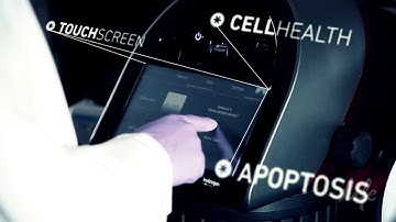 Apoptosis Visualization and Quantification with Tali® Image-Based Cytometer