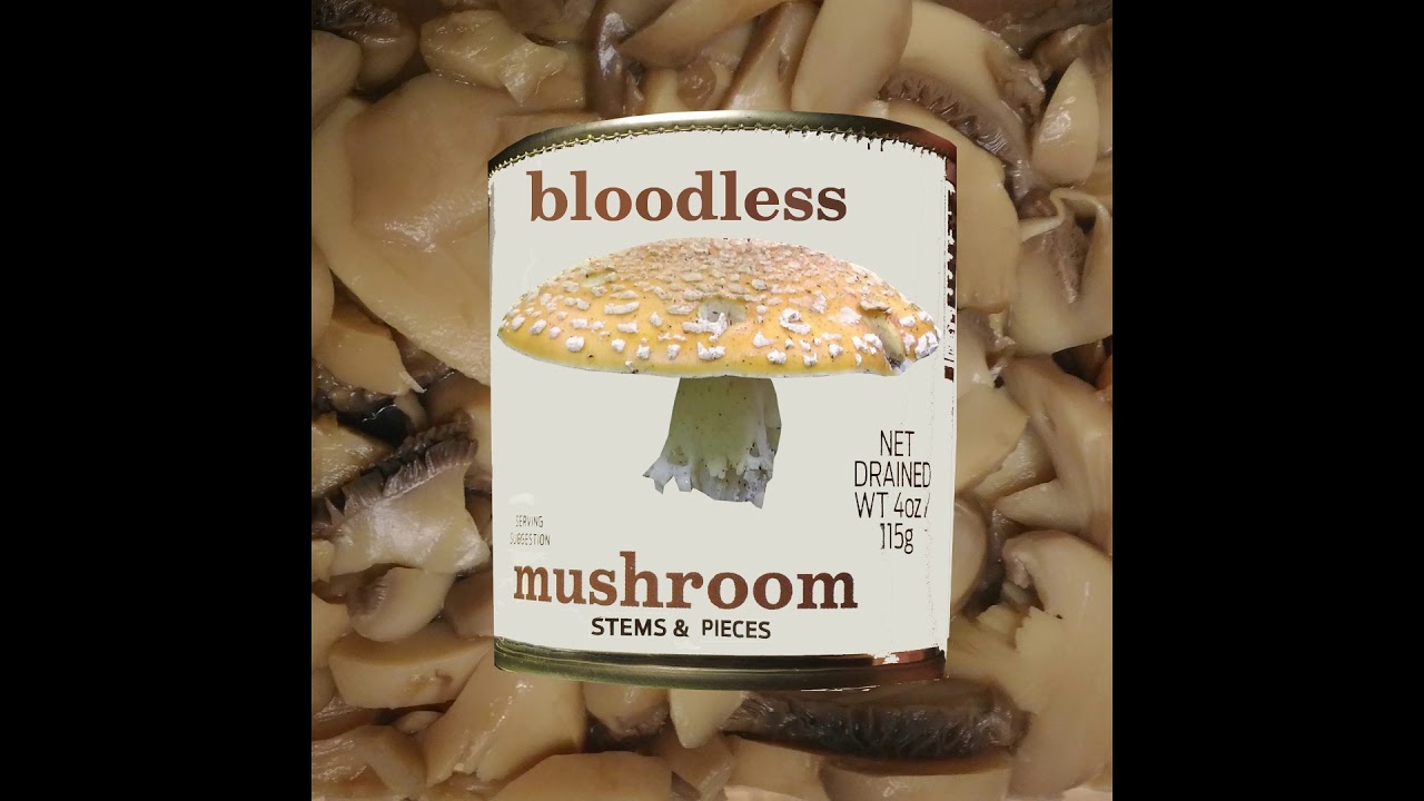 Bloodless Mushroom - Stems and Pieces - 17 - Tracking (Slowreversed)