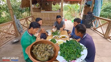 Tát mương bắt ổ cá rô binh tích kho sả ớt, bữa cơm quê ngon không thể tả - cdmt 856