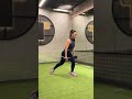 Dumbell Alternating Reverse Lunges