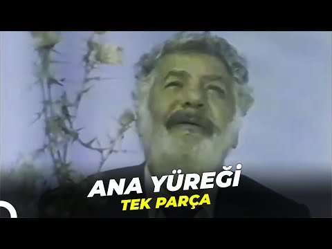 Ana Yüreği | Erol Taş Eski Türk Filmi Full İzle