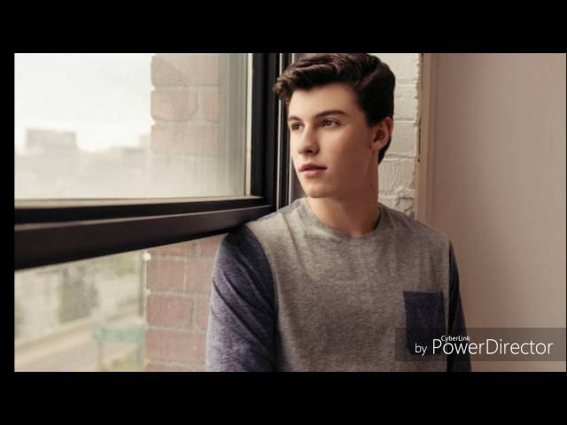 Shawn Mendes - Strings (Audio) class=