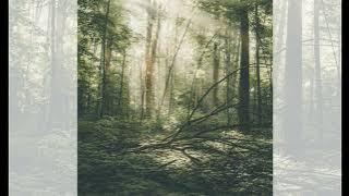 Hidden Sequence - Kumonomori - full album (2025)