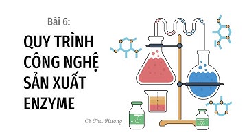 Bài 6. Quy trình công nghệ sản xuất enzyme (P2) - Chuyên đề học tập - Kết nối tri thức - OLM.VN