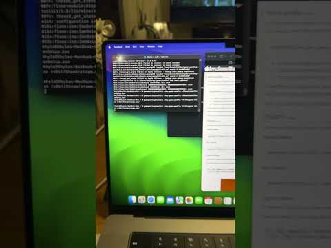 Apple game porting toolkit not working