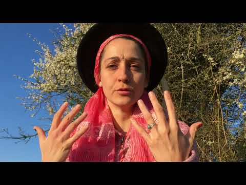 Video: Shamaner Fremhæver Poltergeist - Alternativ Visning