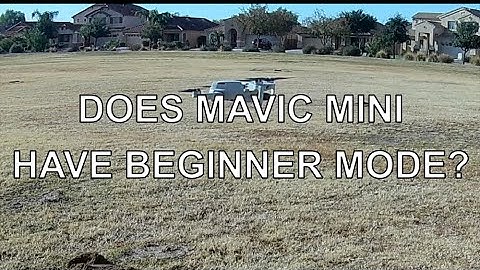 DOES MAVIC MINI HAVE BEGINNER MODE ? ?
