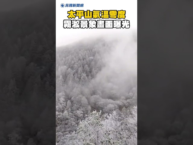 太平山氣溫零度 霧淞景象畫面曝光｜民視新聞｜