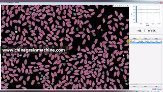 Rice appearance quality detection system