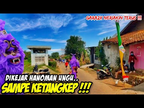 HANOMAN UNGU KEJAR BOCIL FF SAMPE KETANGKEP ❗❗ KUDA LUMPING SINAR SALUYU JAYA MUDA 💥 LEMBUR KURING