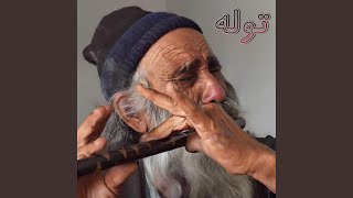 یا مولا دلم تنگ آمده است screenshot 5