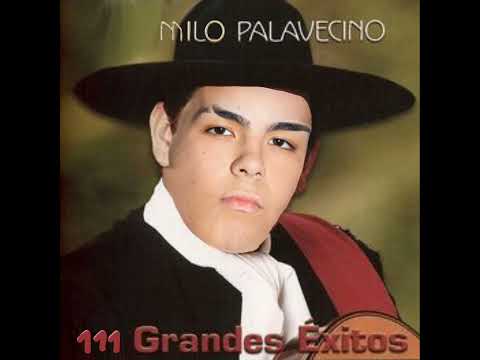 Milo Palavecino - Amor Salvaje (Cover Milo J)