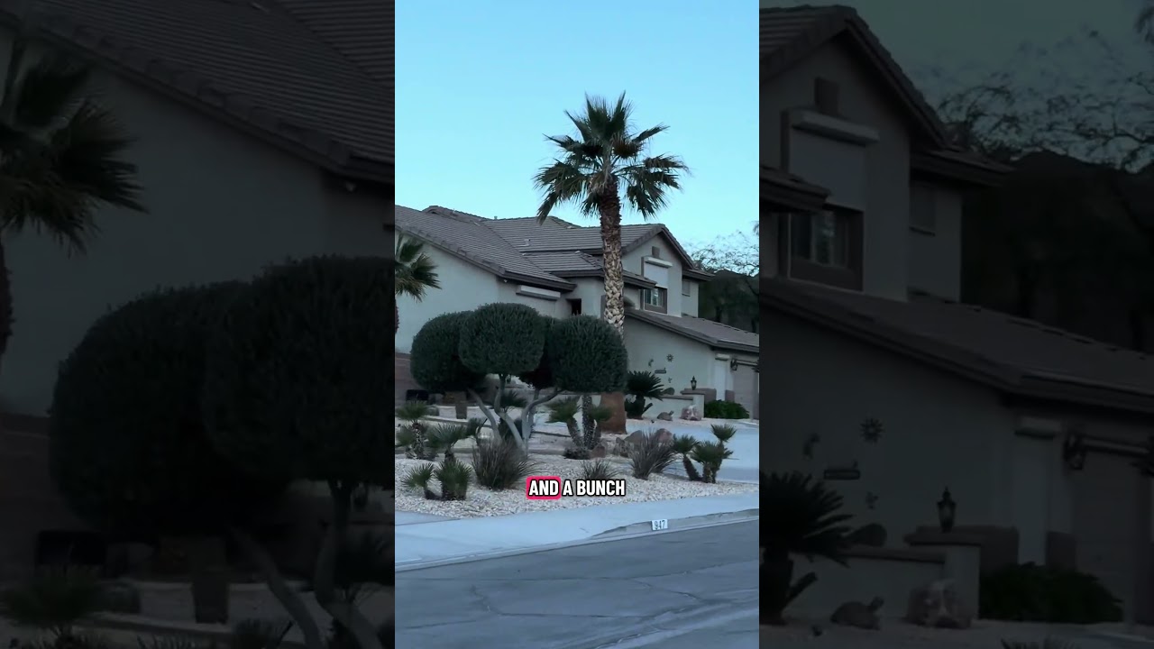 Las Vegas AirBnB contained a secret bio lab & illegal firearm stash guests left sick FBI Raid SWAT