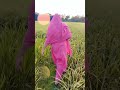 #highlight