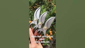 Kéo cắt cành Nhật đúc thép đen nguyên khối.Giá 450 k miễn sip .0943860285