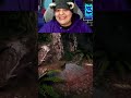 Watch Me Run! I'm Fast As Frog Boy! #cozy #funny #adorableadventures