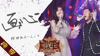 【纯享版】杨坤&A-Lin《画心》《歌手2019》第13期 Singer 2019 EP13【湖南卫视官方HD】