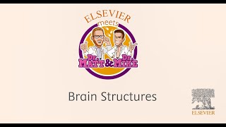 Master Medical Concepts with Matt & Mike's ClinicalKey Student Nursing Videos by Elsevier Australia 84 views 1 year ago 3 minutes, 9 seconds