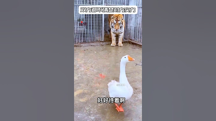 双方都不清楚对方的实力