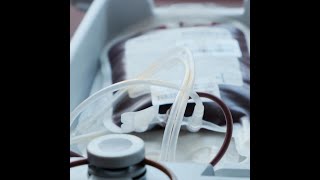 What to eat after blood donation? Health Tips by Avey