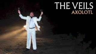 The Veils - Axolotl (Audio) chords