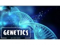 Genetics Vocabulary Challenge: Traits, Alleles, and Inheritance