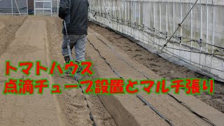 トマトハウスの灌水チューブ設置とマルチ張り・その他圃場の様子21/3/22#1180