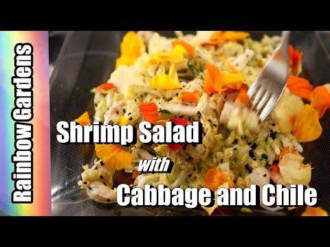 EASY! Shrimp / Salad with and Cabbage & Chile + How to Harvest Cabbage