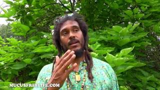 "Transition Diet" Lesson 16 Part #4 | Special "Mucus-Eliminator" Recipes